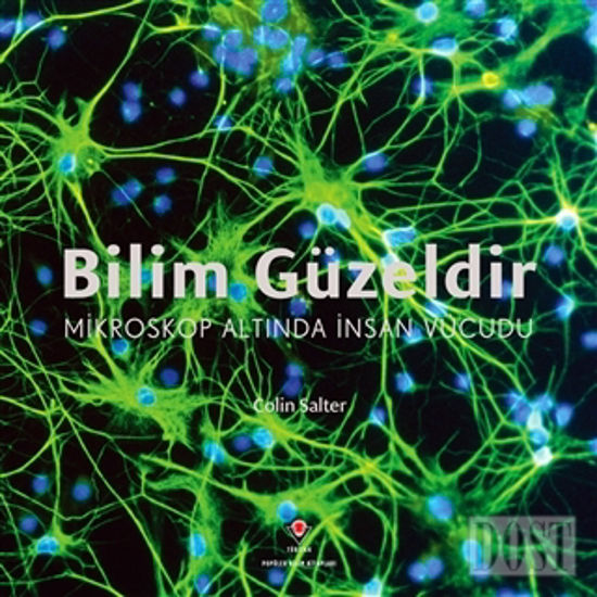 Bilim Güzeldir - Mikroskop Altında İnsan Vücudu